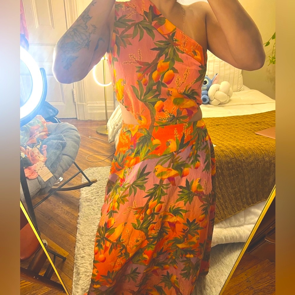 FARM Rio Multicolor Maxi Dress